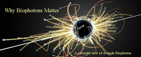 BIOPHOTON11